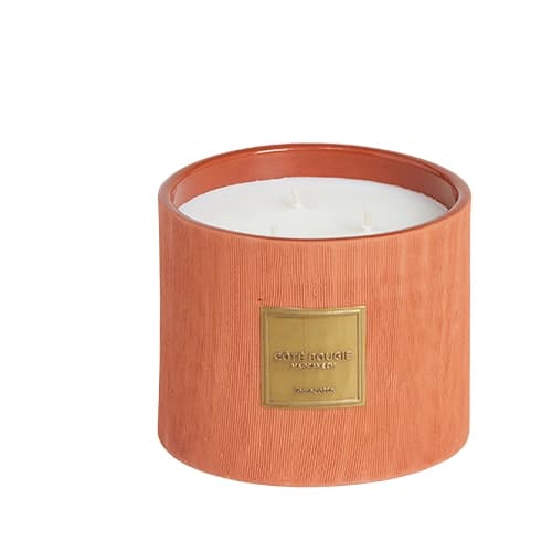 Professional clipping path result